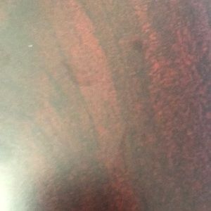 Meet your Posher, Stacey